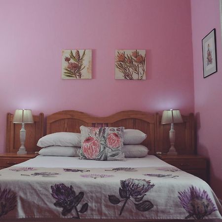 Homebase Melville Backpackers Johannesburg Ngoại thất bức ảnh