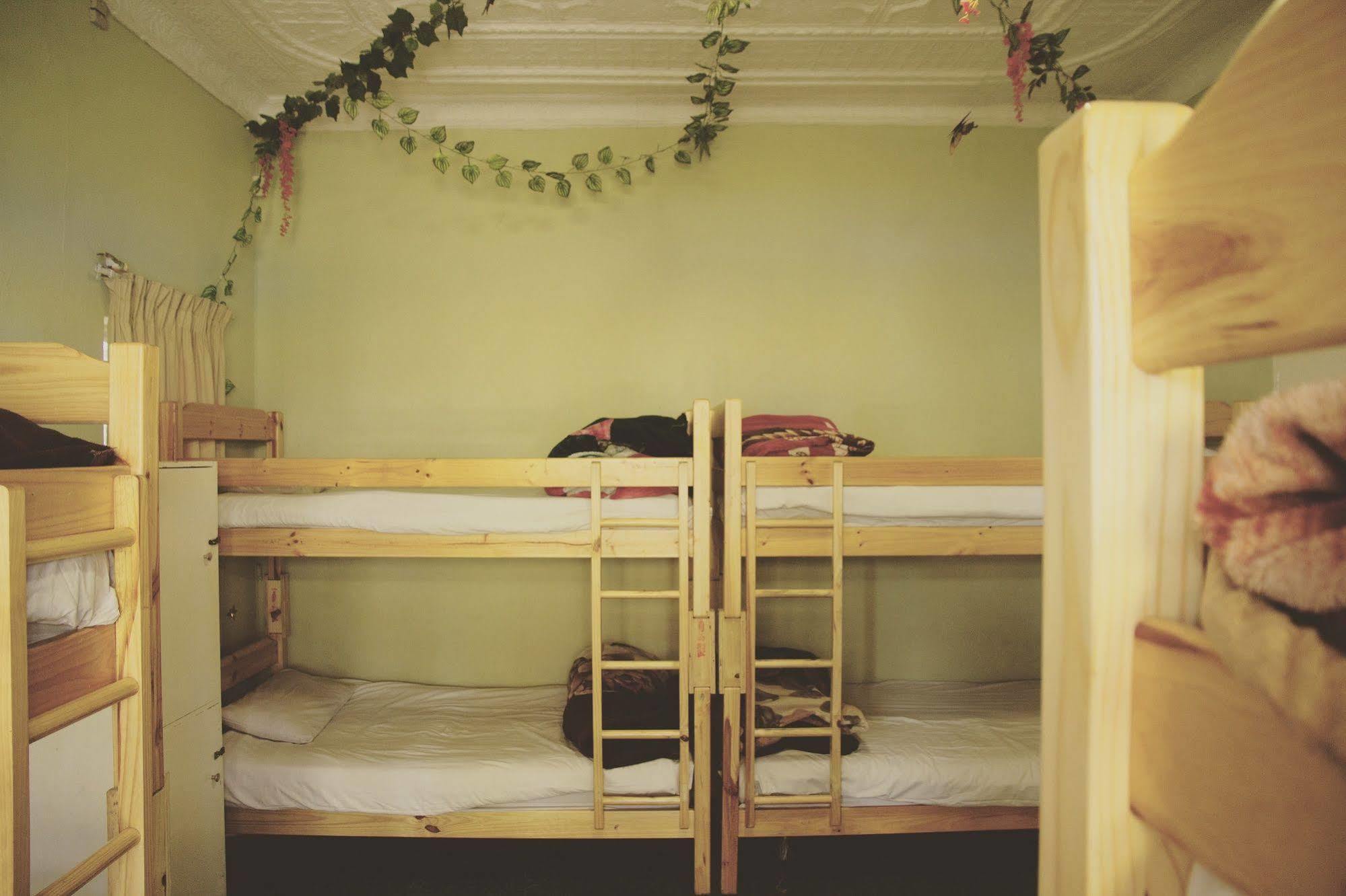 Homebase Melville Backpackers Johannesburg Ngoại thất bức ảnh